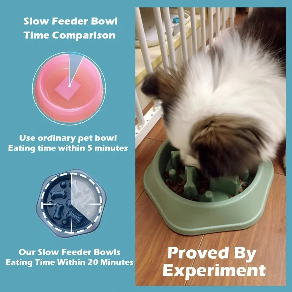 Dog Slow Feeder Non-choking Pet Bowl Anti Slip and Large Capacity
