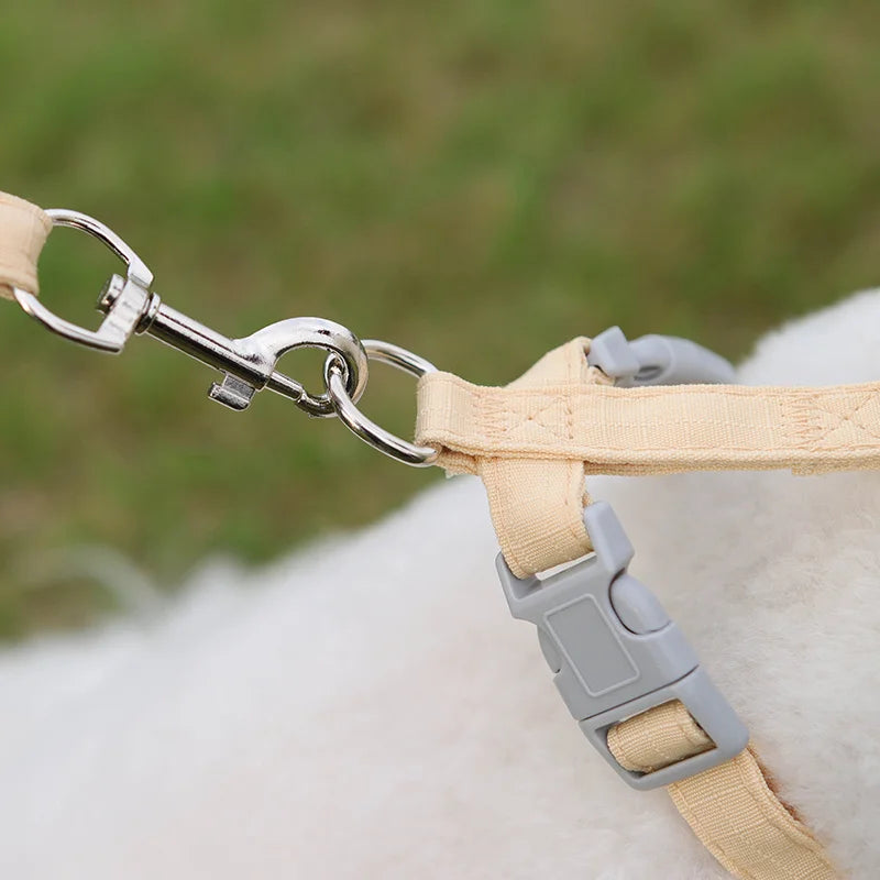 Puppy Dog Harness and Leash Set for Small Dogs