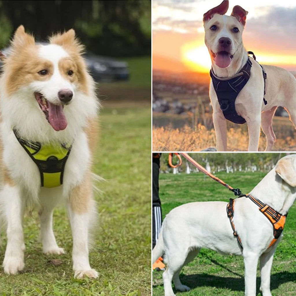 Dog Harness No Pull Pet Harness Adjustable Padded Dog Vest