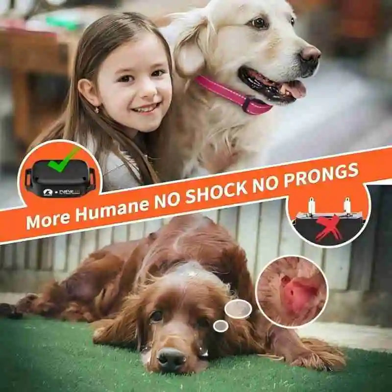 No Shock Dog Training Collar Vibration Collar