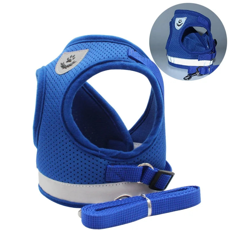 Quality Dog Harness And Leash Set Dog Accessories