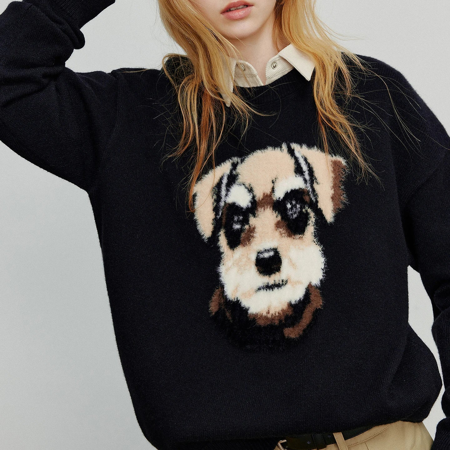 Women Knitted Sweater 2025 Autumn New Plush Dog Patter Warm