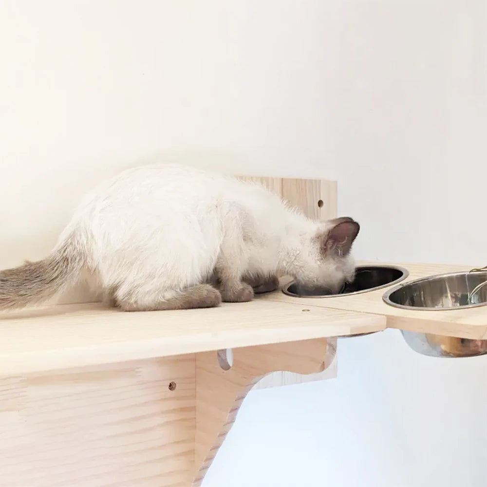 Cat wall furniture cat bowl feeding rack stainless steel