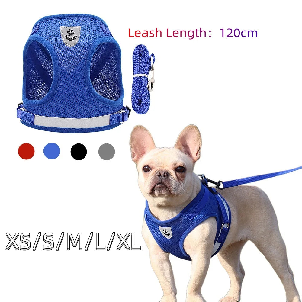 Quality Dog Harness And Leash Set Dog Accessories