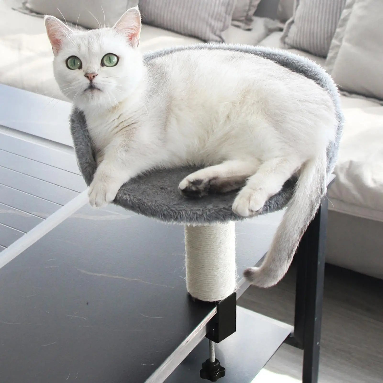 Desk Clamp Cat Bed with Soft Pad, Removable Pet Nest