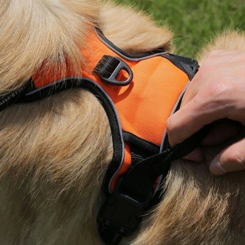 Dog Harness No Pull Pet Harness Adjustable Padded Dog Vest