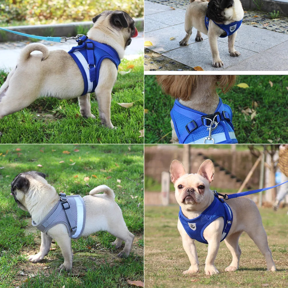 Quality Dog Harness And Leash Set Dog Accessories
