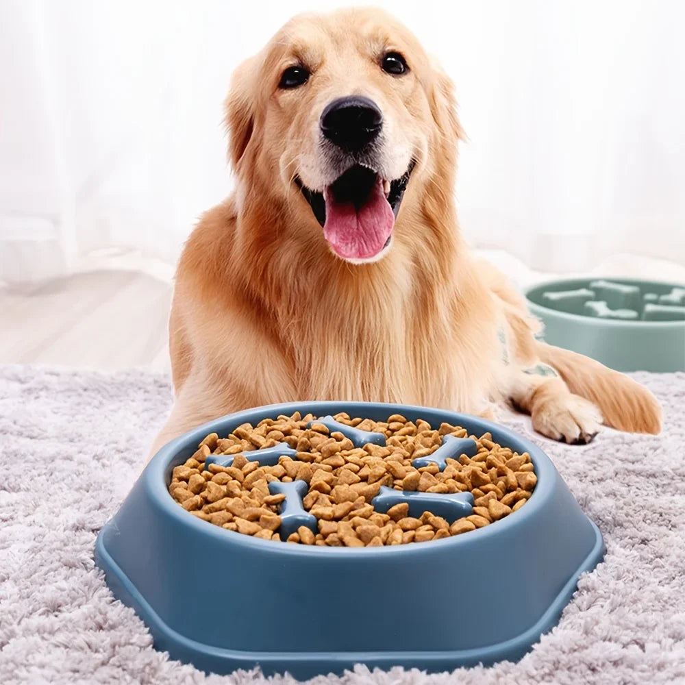Dog Slow Feeder Non-choking Pet Bowl Anti Slip and Large Capacity