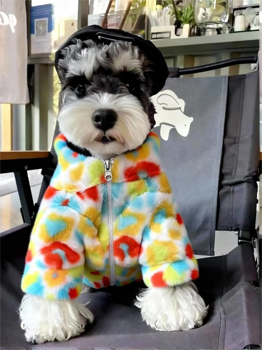 Colorful Zipper Warm Autumn and Winter Pet Jacket for Cats and Dogs