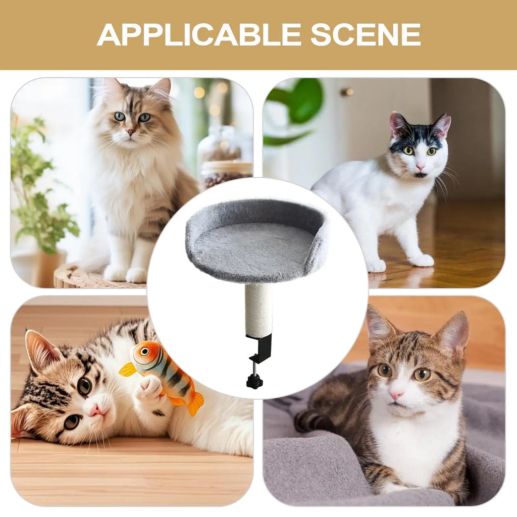 Desk Clamp Cat Bed with Soft Pad, Removable Pet Nest