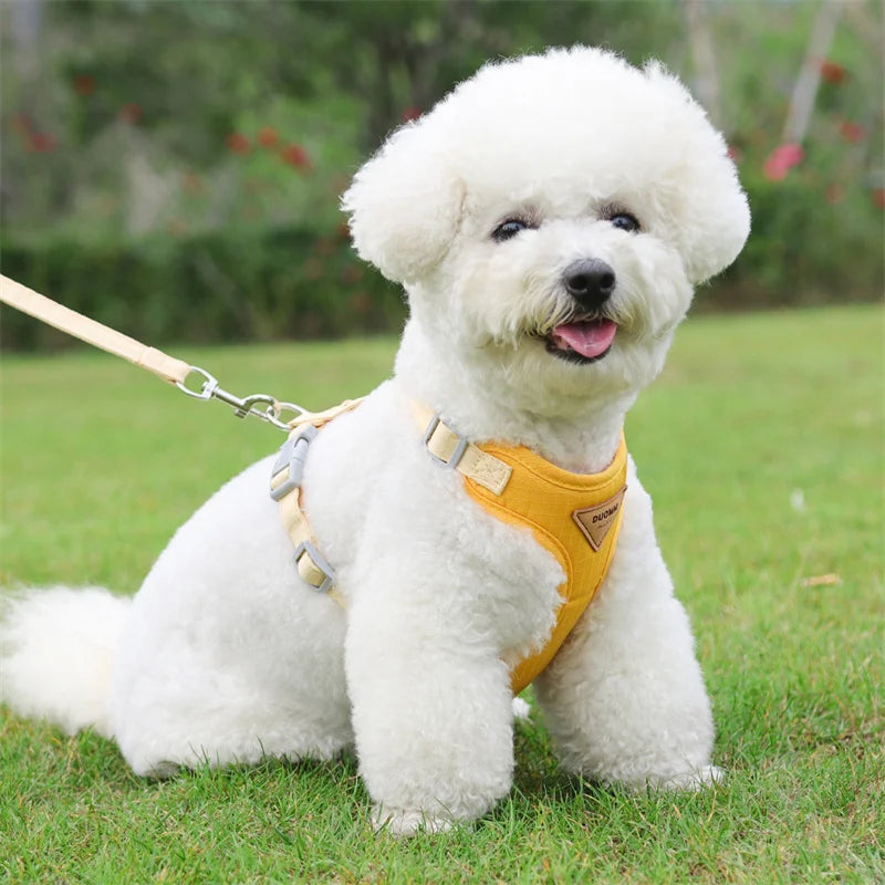 Puppy Dog Harness and Leash Set for Small Dogs