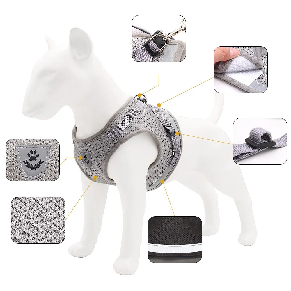 Quality Dog Harness And Leash Set Dog Accessories