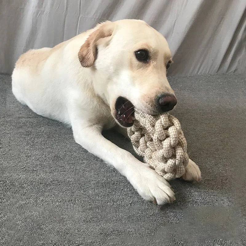 Cat Dog Knot Toy Cleaning Teeth Grinding Teeth